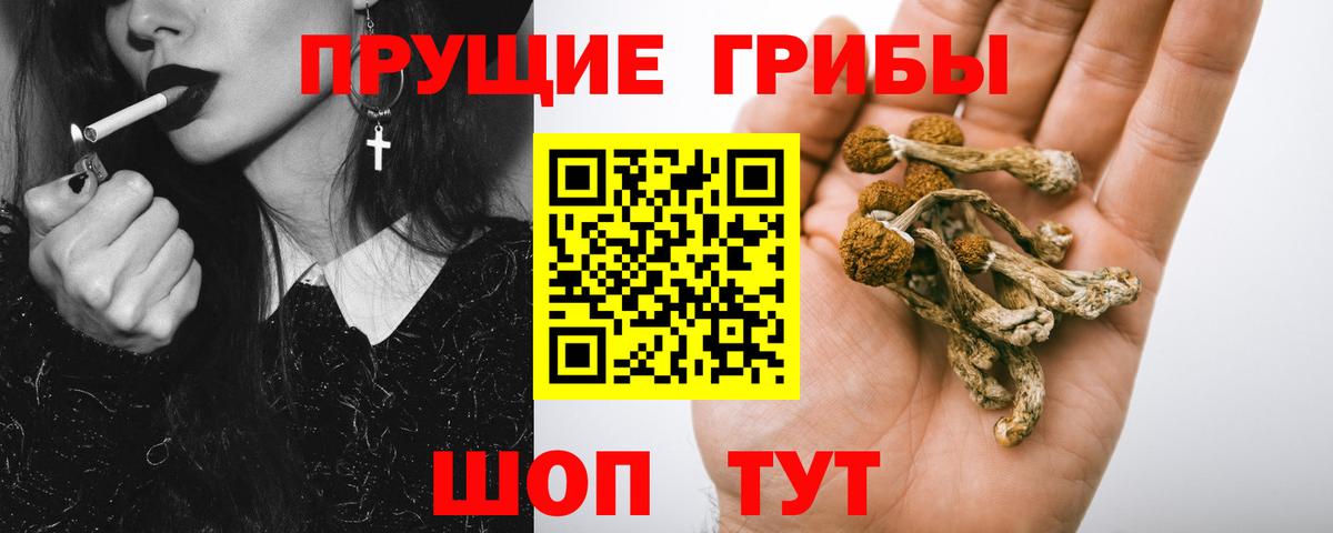 Галлюциногенные грибы MAGIC MUSHROOMS Сегежа